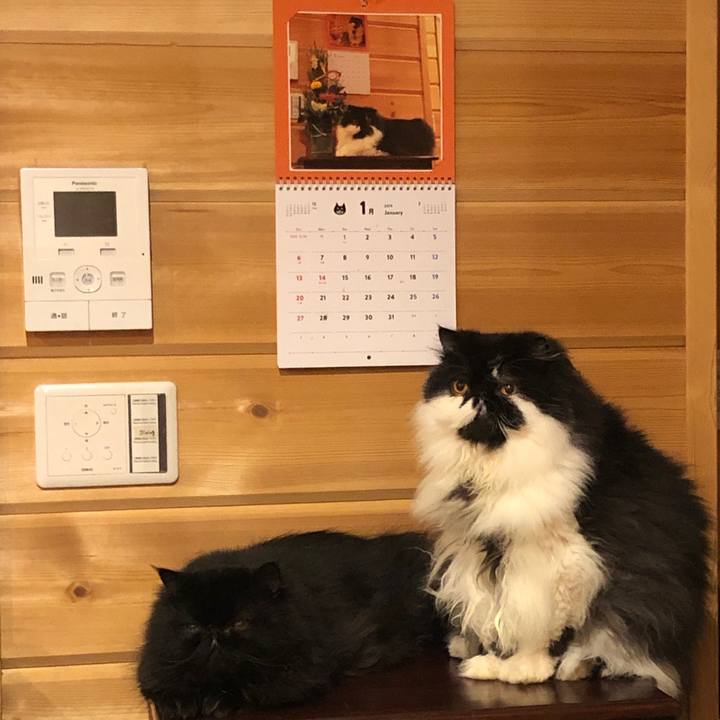 Eff1fe37 f746 4603 b9ac 5b59b7f3cebd 1546956987791