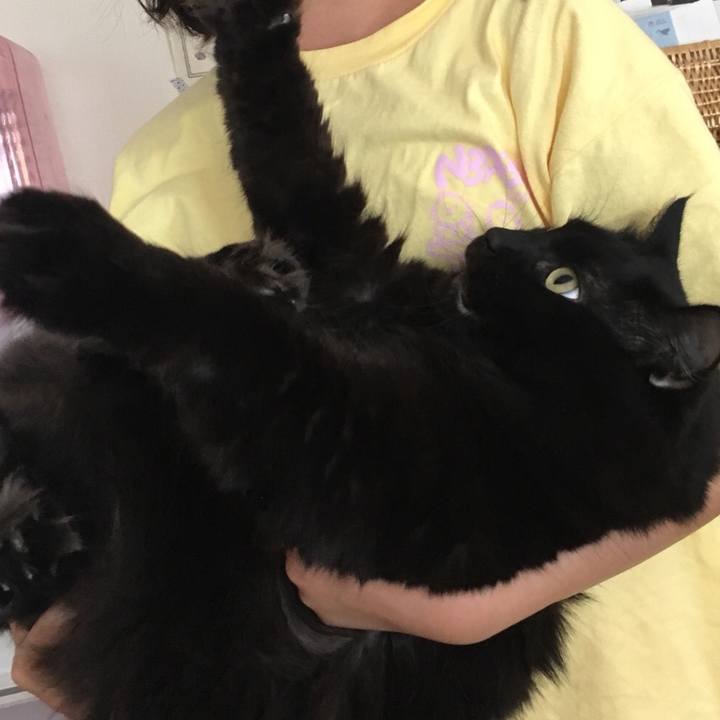 Eff2273a 5270 4625 a116 7c0a92bbbee2 1537786437401