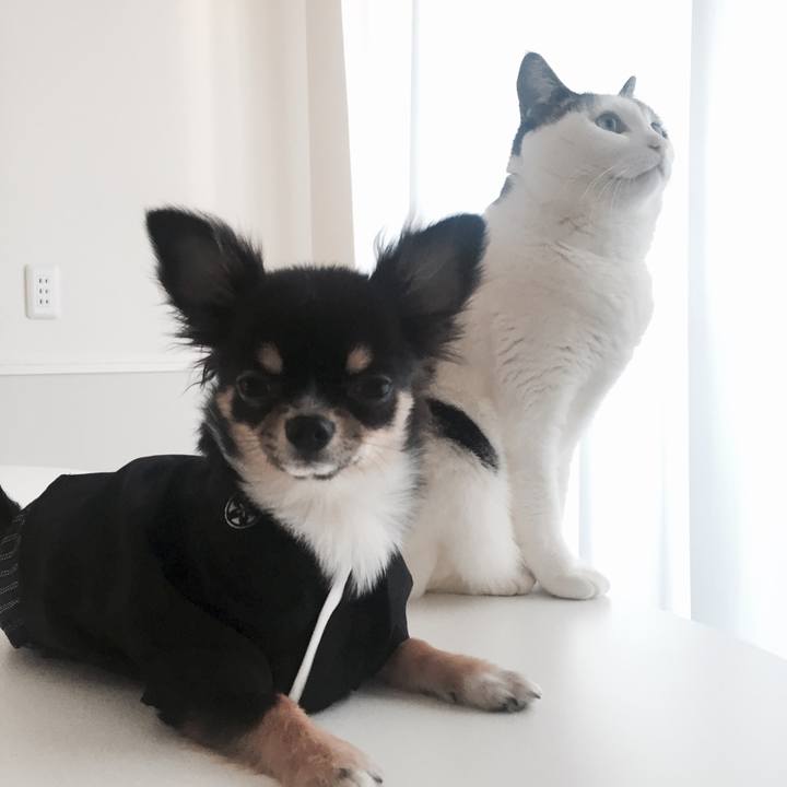 Eff24f7f aa44 439f b58f 80d5aa9be5a3 1514796946430