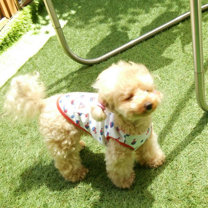 Eff26e60 fe9f 47e2 a643 dcdc6801889a 1528977964743