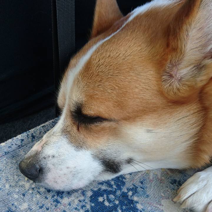 Eff279f6 8cf3 43d1 90b0 14dfc726e9a7 1626587040616