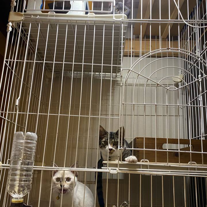 Eff2be45 a20d 4b50 bf49 ef95845e7794 1632822207494