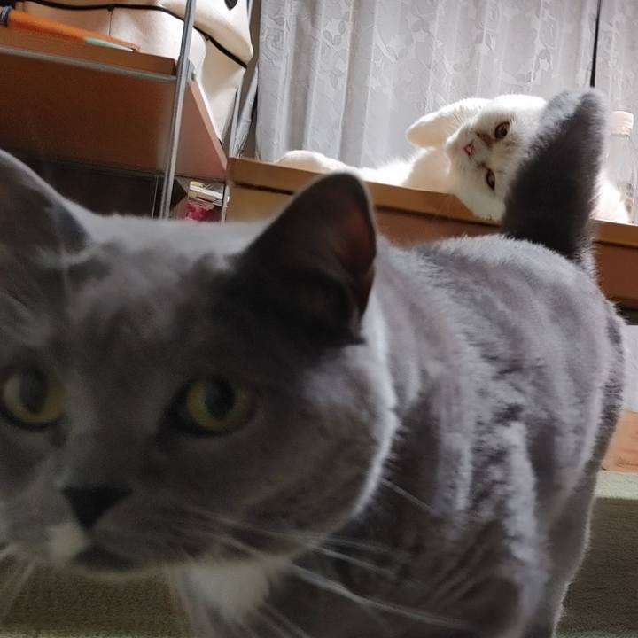 Eff2cc6c 8524 4fd6 bc5d 28f3a9f9bdd6 1651149115709