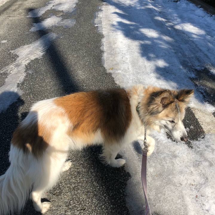 Eff2d156 771b 446d bac2 0d35716c96db 1516948009018