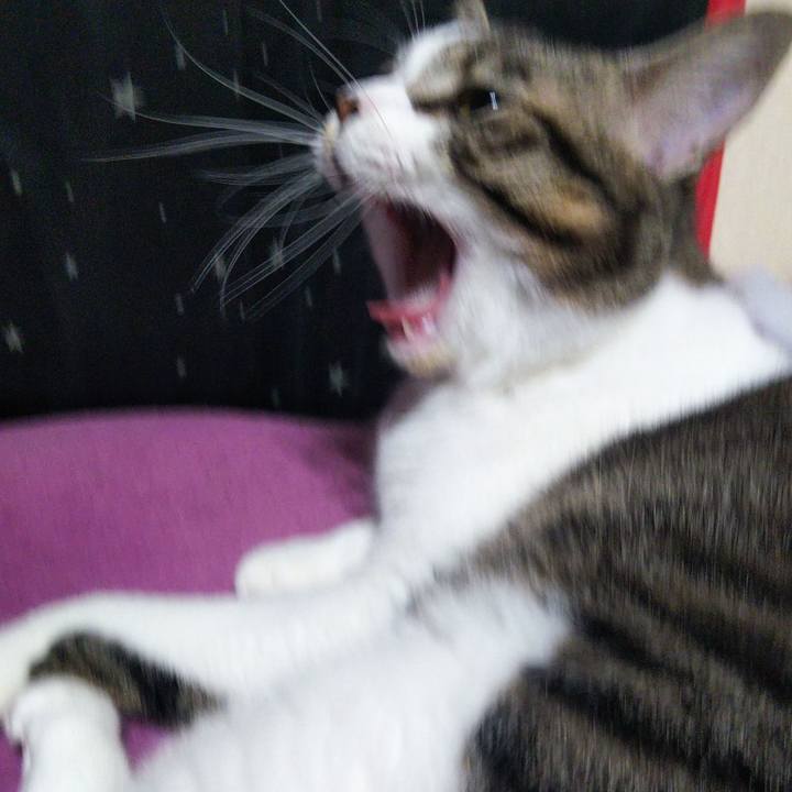 Eff2e9f4 e1e7 417e a430 32520a57544d 1637065640981