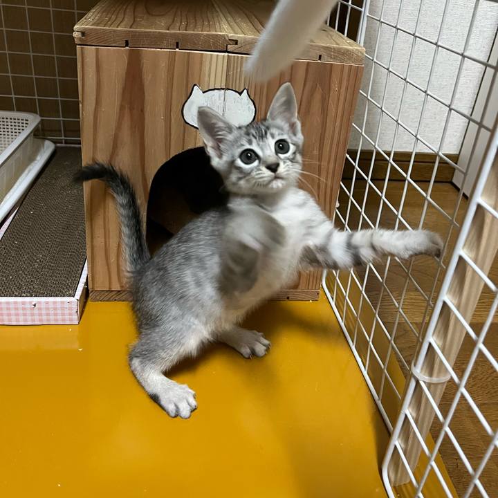 Eff342f8 e7a1 43a9 9117 270ade1a76fc 1695952841625