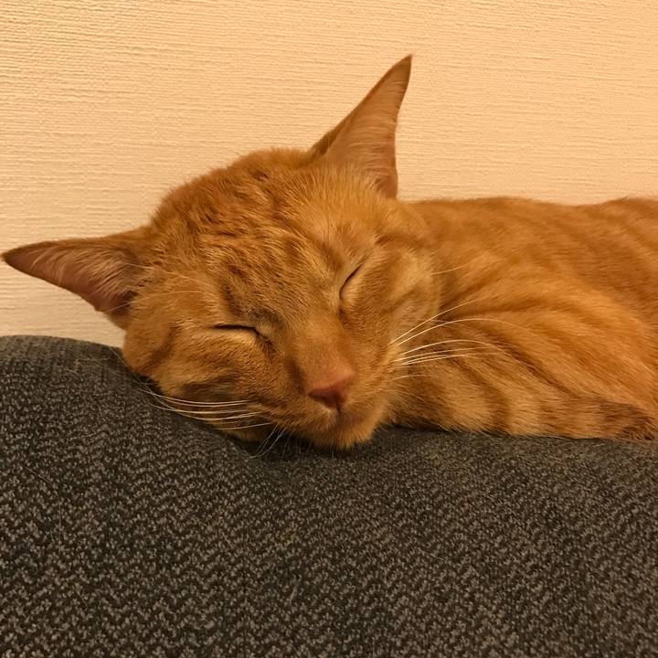 Eff36a35 349b 46a0 9bac a004194f16d1 1609925513518