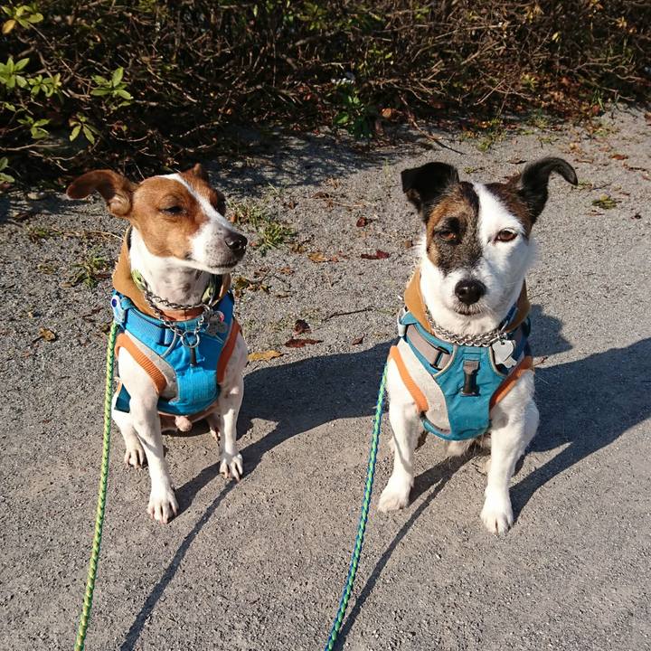 Eff37b7a c9d0 44b9 8df1 82ff27167077 1607649862028