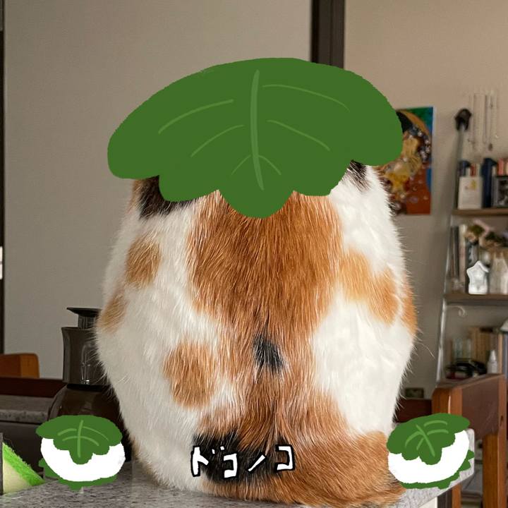 Eff37fee 3a9a 4cc7 85df 97ad81f6a307 1749094644264