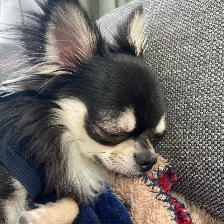 Eff3d884 abcd 4253 8bc9 088535010b78 1611375837964