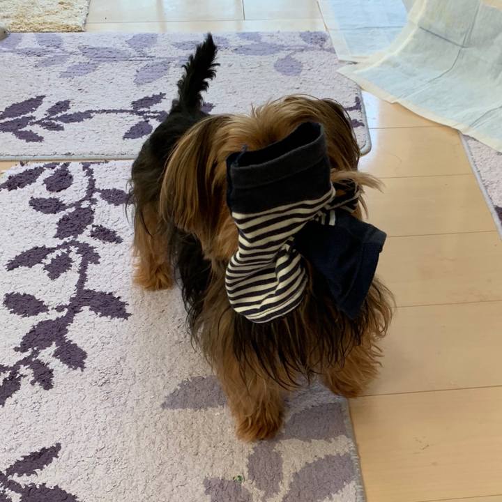 Eff3f7b3 237c 40d4 913f 9b98a05e2df0 1538467693824