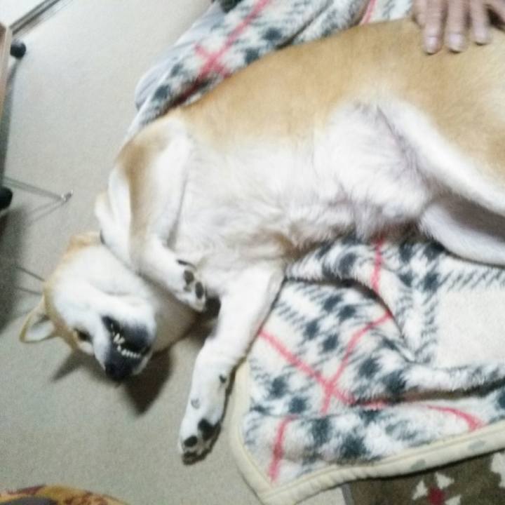 Eff402fe 5195 418a 8477 57a01ab241fd 1575348405166