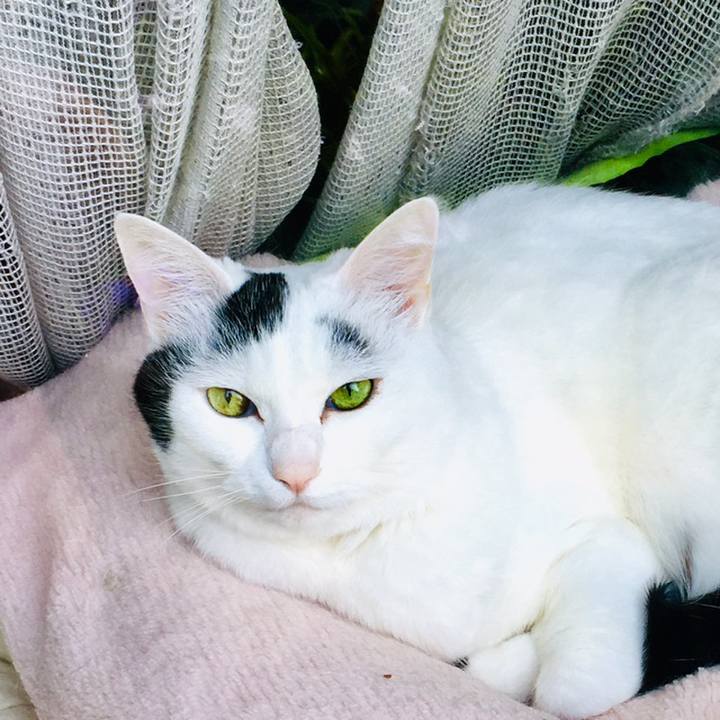 Eff4097e 9fa4 48dc 8eb3 b1e71688e780 1559875436886