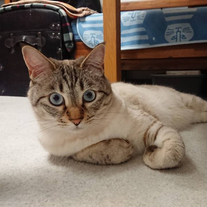 Eff47520 b7d7 427d a942 3a3b57fbf5b4 1558364699798