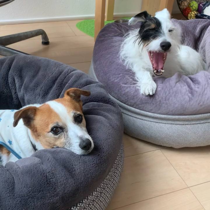 Eff4bfd8 ef74 482f bf9b 1d5d3c0e0f1e 1633824534434