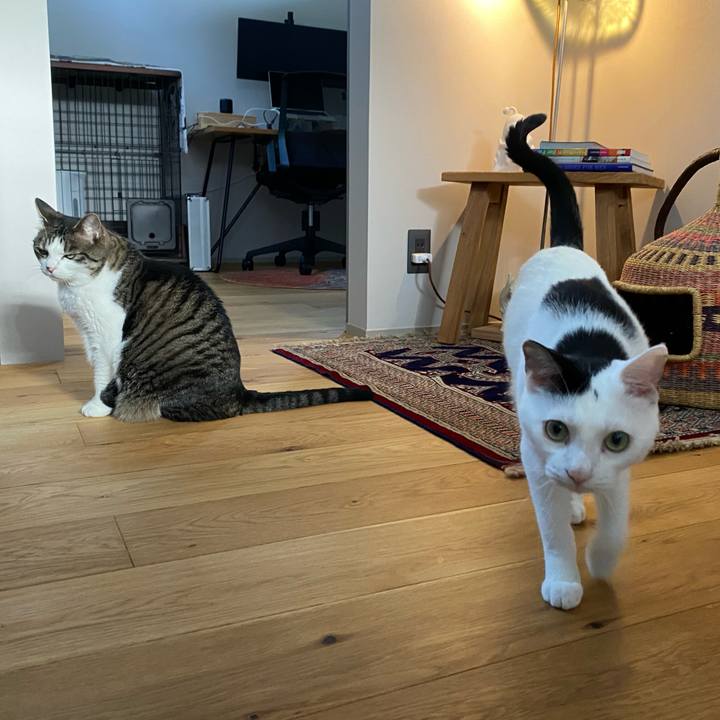 Eff4c72a 236d 4d2b 9b21 c7321bafde32 1753166135717