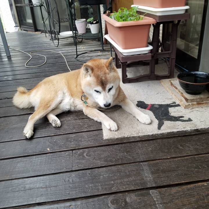 Eff50014 b606 4c9f ab47 cb1a6b7e1434 1745363212558