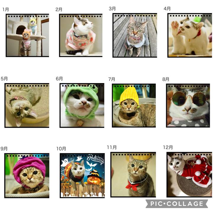 Eff5247e 6537 4c22 8e12 e5c9f081a15c 1666328193225