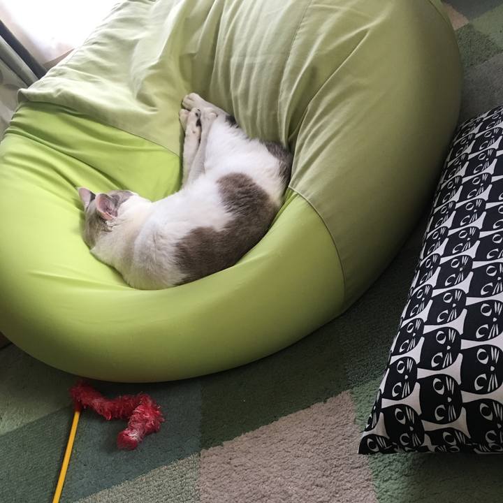 Eff53042 ba31 43fc b6c1 c5e08968770b 1548135646422