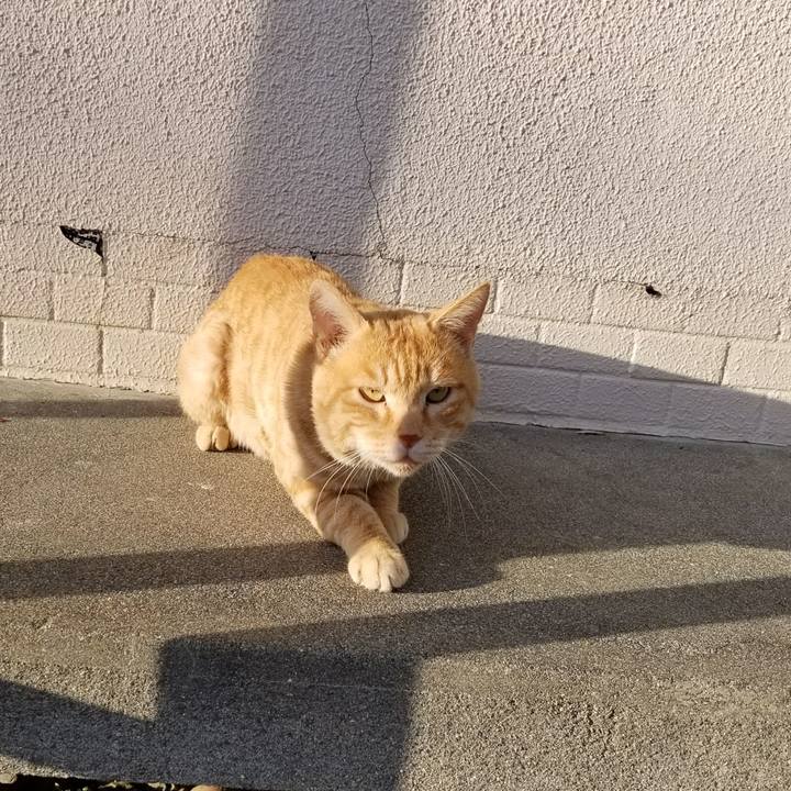 Eff539e5 3474 400a b531 3362da23fd5c 1509526880140