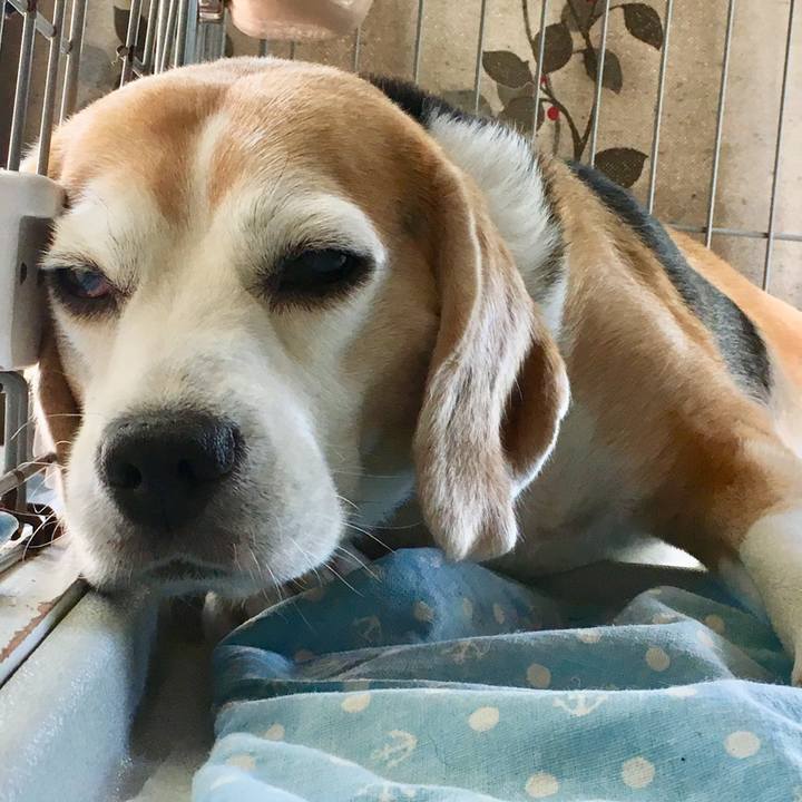 Eff53b89 28fe 4922 bf66 3a53376e930d 1755486504129