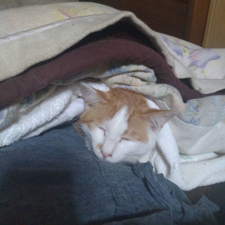 Eff548e7 a28d 49dd 9e53 50be6ddc2e00 1741087717378