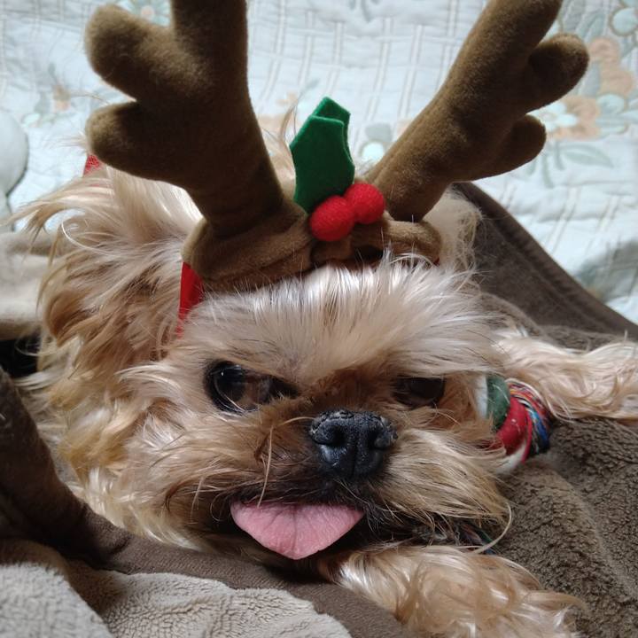 Eff55921 9a6b 484d 96af 1f561a25a750 1607503842735