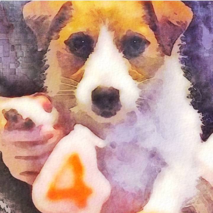 Eff5d2cf 7ff4 4ee1 a442 f94229999ff8 1521407725304