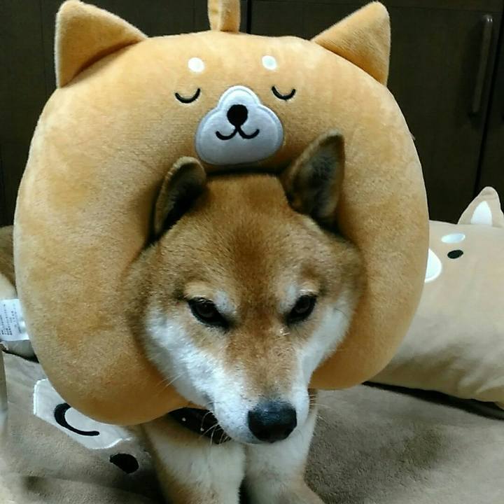 Eff5d32f c1b1 48d9 a664 6b9e6d4b2a9d 1558402152732