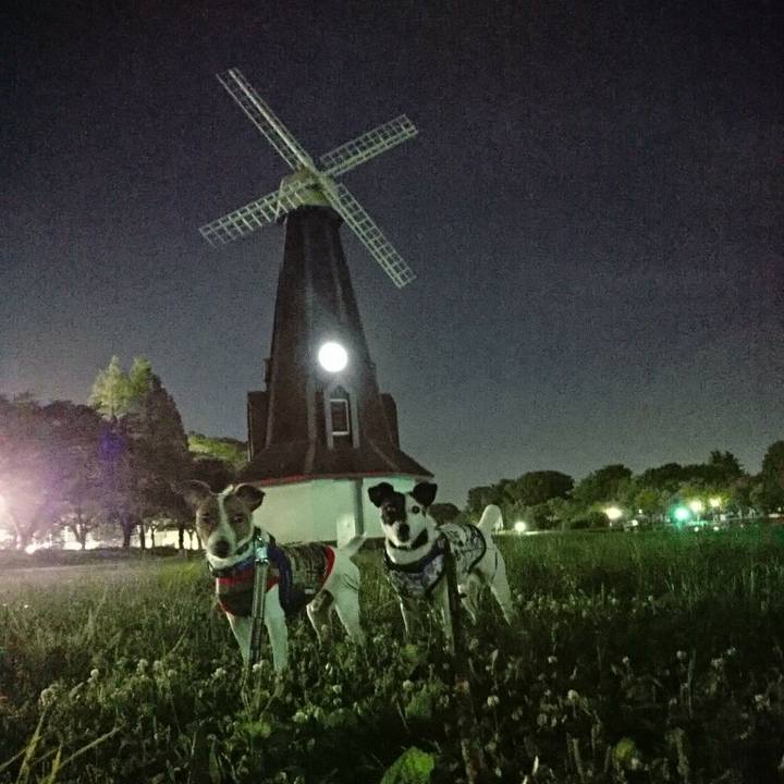 Eff5d5ca bb3c 4d83 b415 6504cf66ede3 1529408210059