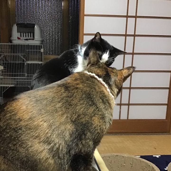 Eff5dfb7 9285 4566 9a57 c0f1856a9832 1738064998402