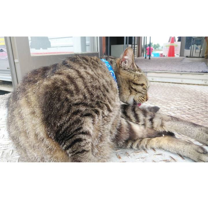 Eff611e6 2561 4937 8a1f e9839b7a3f73 1593130274165