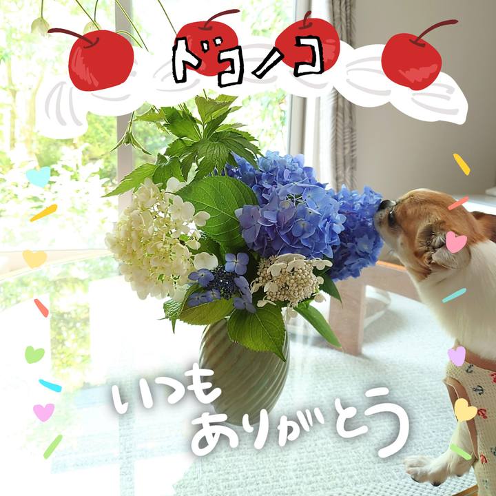 Eff62dc8 44b2 48eb a3bd d5cfe1040558 1685954079409