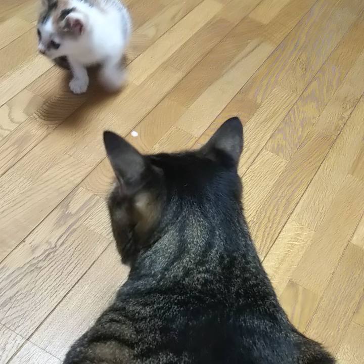 Eff675d9 7e34 419d b3d2 a206773e9847 1632619977850