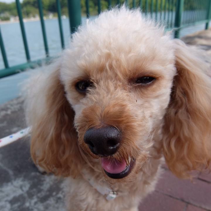 Eff6987f ea28 4fcc 803a af61787f803e 1557750148192