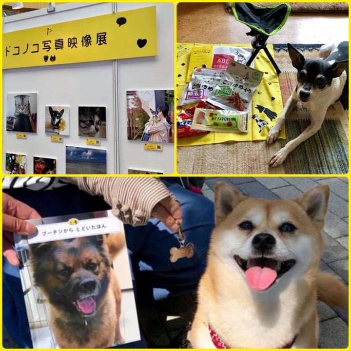 Eff6b68c a408 4965 abda 07cf98cbcee9 1621940545256