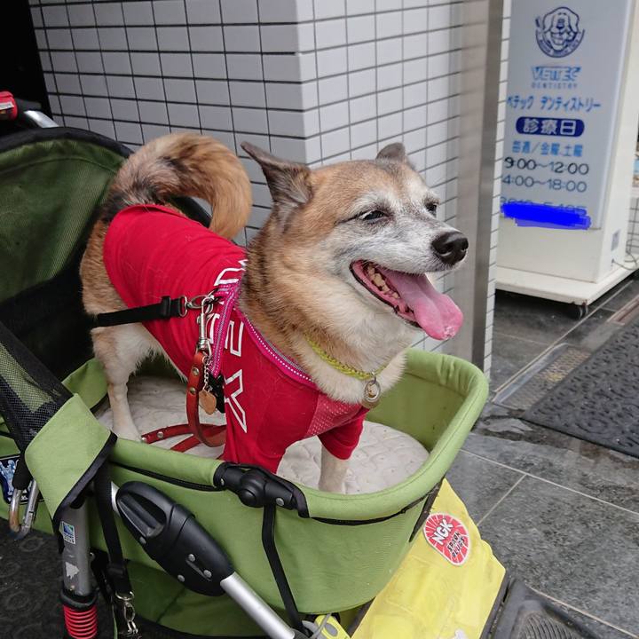 Eff6bd12 b6cc 4dce be40 5082e6bfbe9a 1599919740602