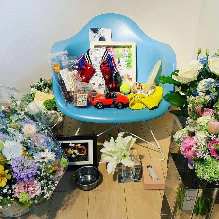 Eff6e9e4 dbb6 45e2 b3b7 70b4b0902c21 1648278705299