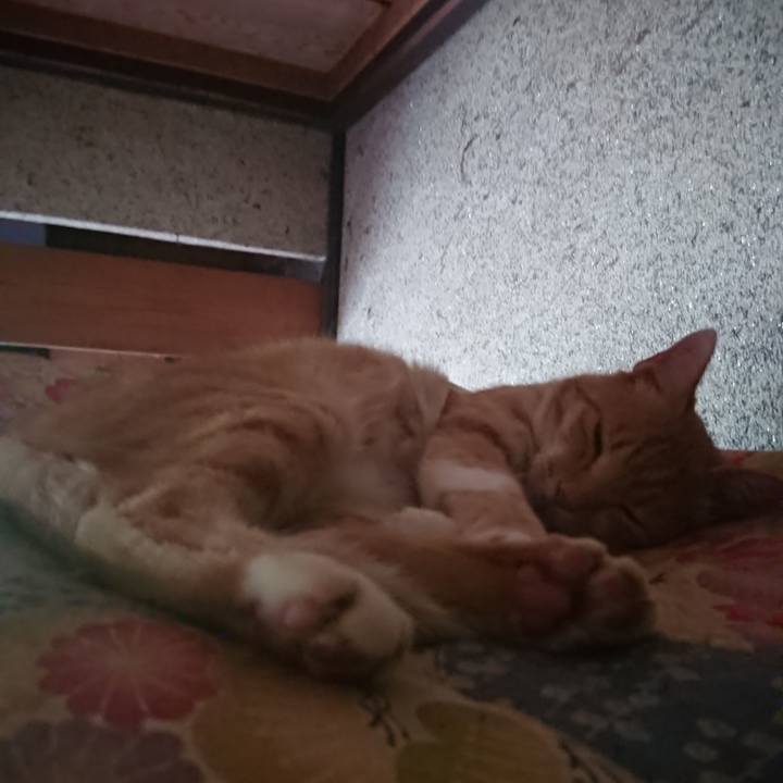 Eff6f681 0eeb 4c7e a32d 21eb3bc6b63a 1595460698314