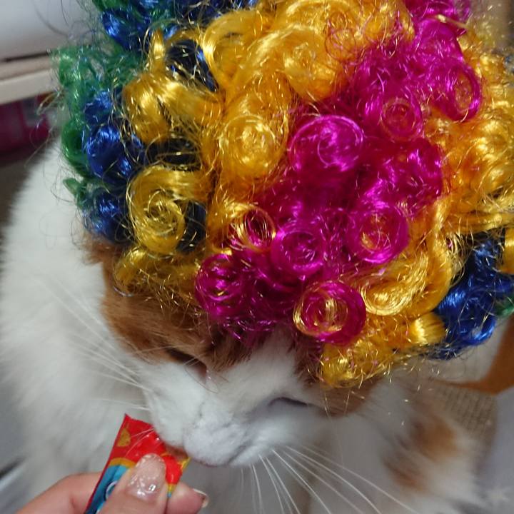 Eff6f69f 5380 4620 bfed a7ff6df3e43b 1572529801827