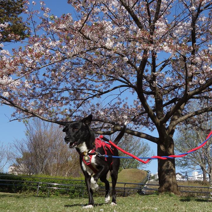 Eff6ffbb 1867 40d3 8069 017b4208a782 1586133087990