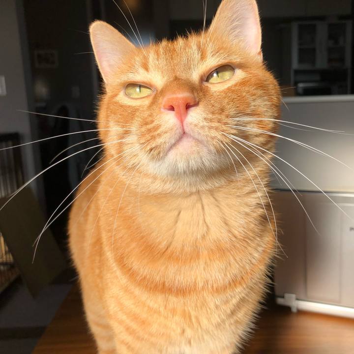 Eff73316 093d 485d aa83 a0ce9a51ea9c 1660441561339