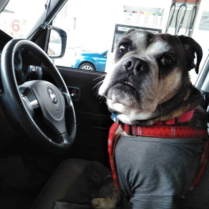 Eff75bfb aec8 434c 9bc7 e03d9d11d1fa 1549700053138