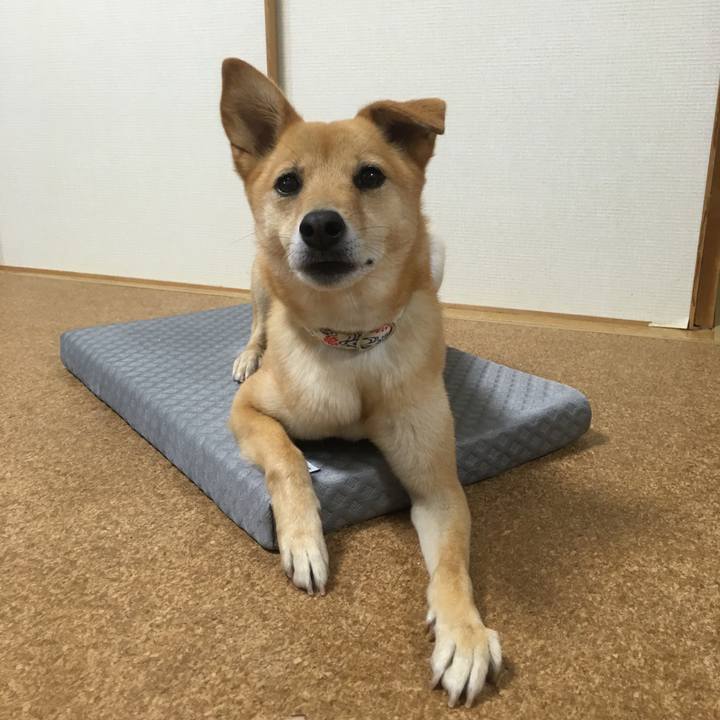 Eff76f39 4ca1 415e bcb4 e0d7b28ff39a 1559740895837