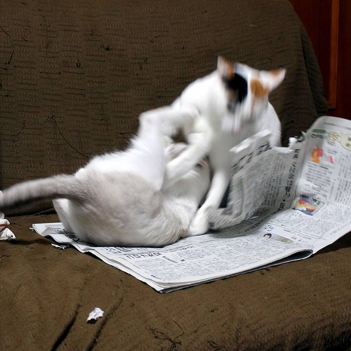 Eff7e7ee 89ba 4e99 8dd7 c6cb9097a95a 1606348866104