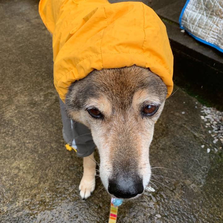 Eff7e9a2 48b3 4a5b 9e90 4764816ca15f 1562209266079