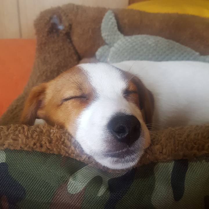 Eff7edfe bd34 44b8 8642 f012620e2e3d 1550202317542