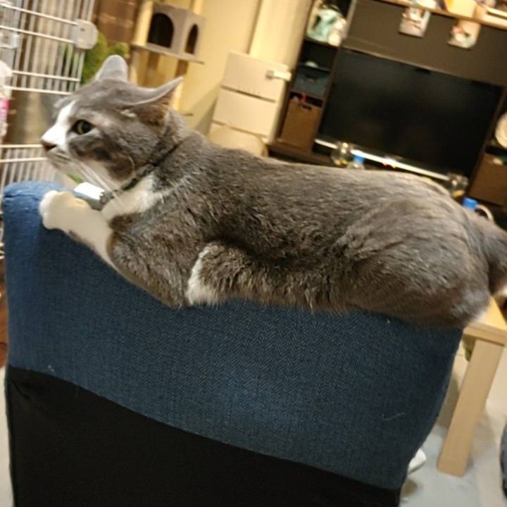 Eff81ae2 924e 4c3d 9d12 7d369d2664df 1686174615778