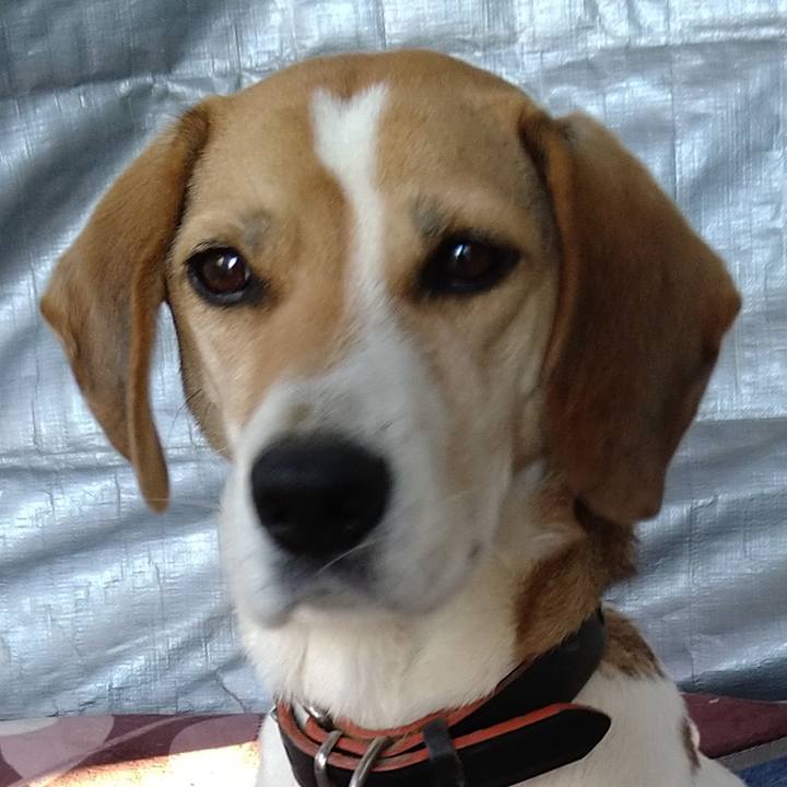 Eff84c9c 0373 4f33 abb8 44fda8481425 1638247218852