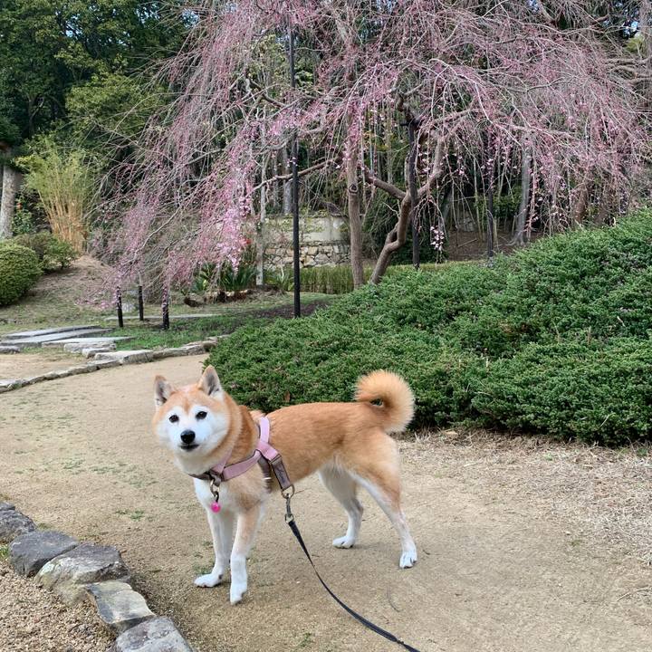 Eff84e94 5848 44e0 bce3 486860f74f1d 1711077052389